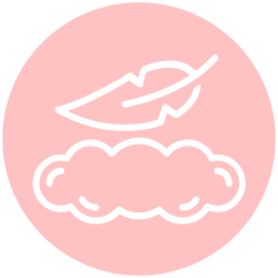 feature-item-4